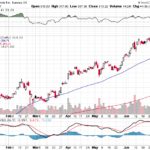 Tesla, Inc. 【TSLA】投資情報： 2017年07月08日