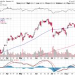 Tesla, Inc. 【TSLA】投資情報： 2017年08月31日