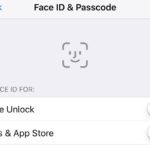 iOS 11 + iPhone X tidbits：Face IDインターフェイスと設定、カメラアプリの調整など