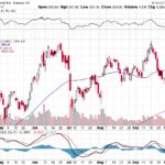 Tesla, Inc. 【TSLA】投資情報： 2017年10月12日