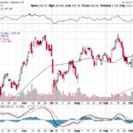 Tesla, Inc. 【TSLA】投資情報： 2017年10月17日