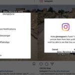 Instagram、ミュートボタンやその他の新機能をテスト中？