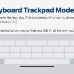 iOS 12搭載のiPhoneとiPadでキーボードトラックパッドモードを使用する方法
