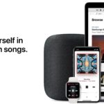 Apple Musicのサブスクリプションを解約する方法