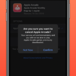 Apple Arcadeを試用期間終了後の課金前に解約する方法